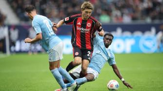 这一特质对 这一特质对