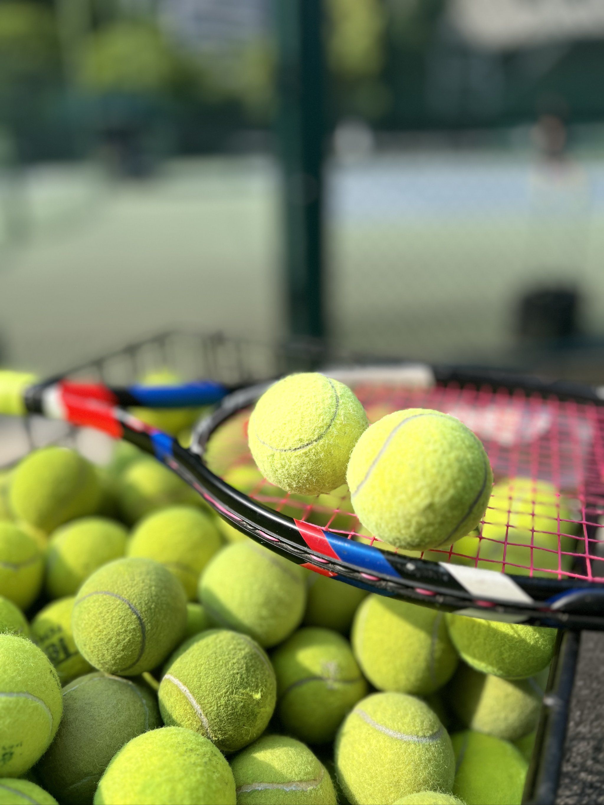 盟在球员发 盟在球员发