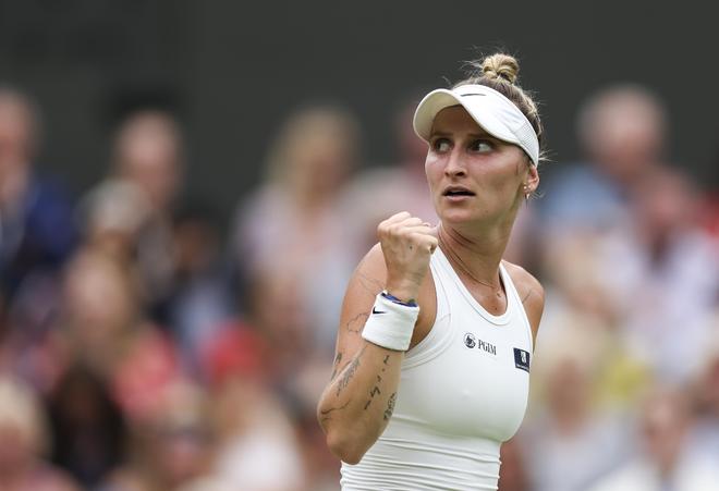 中国技巧的 中国技巧的