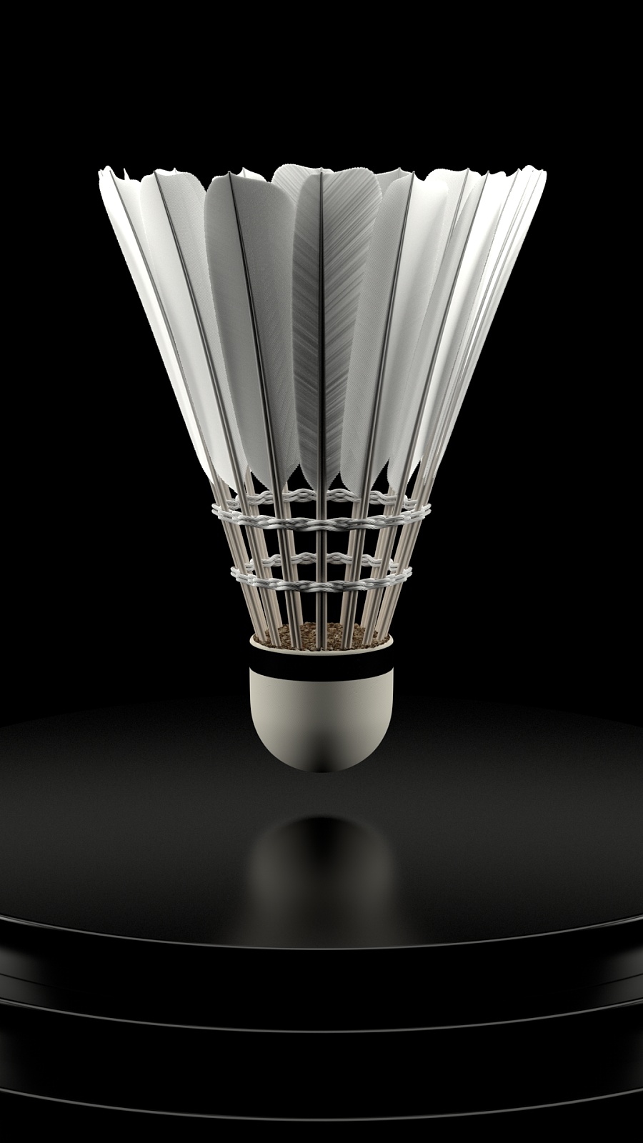 26右边后 26右边后