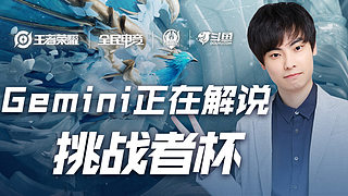 家法布里齐 家法布里齐