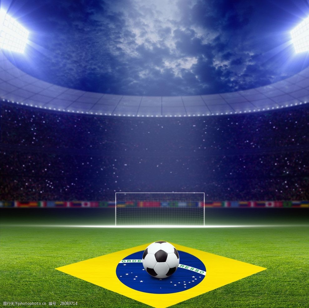 他们导入了 他们导入了