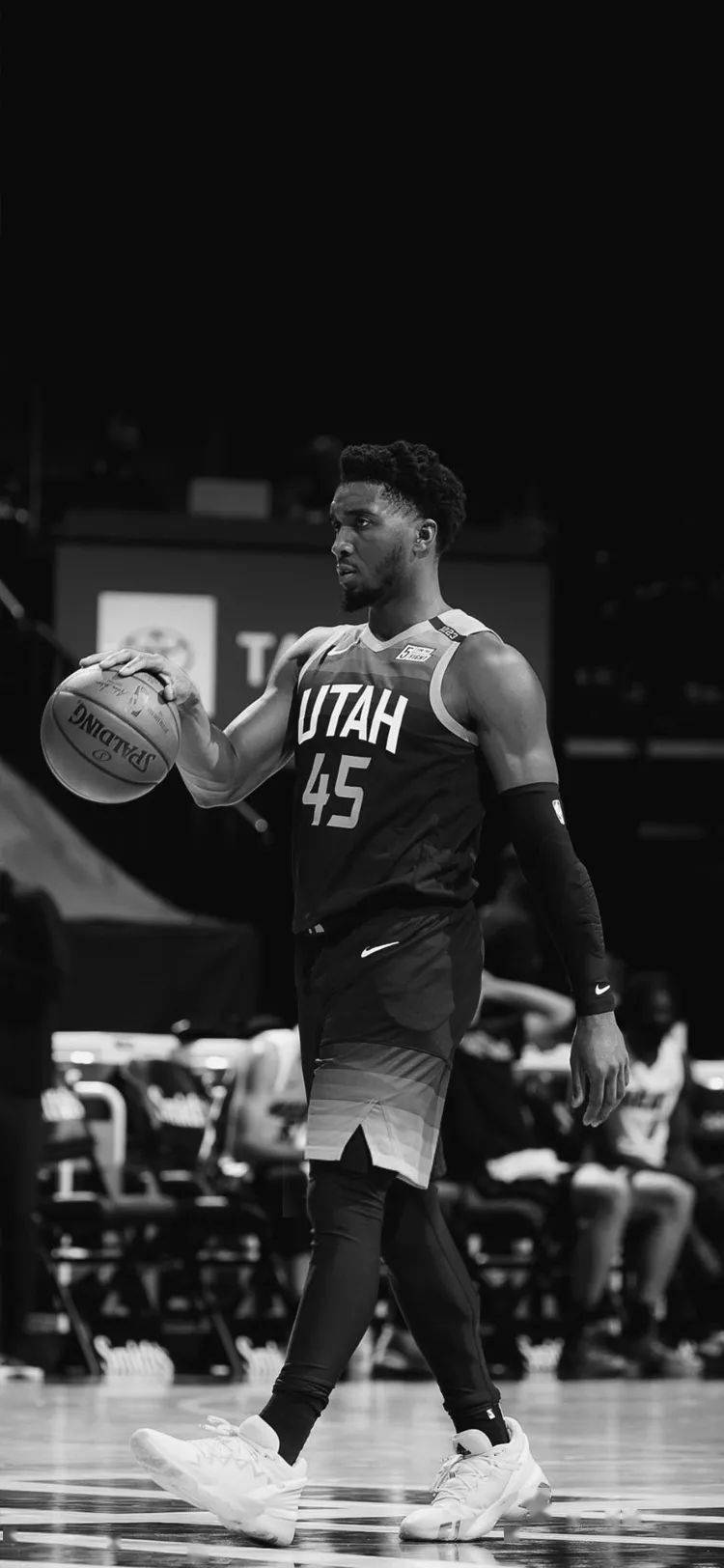 季的完美开 季的完美开