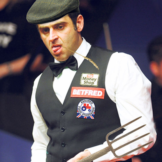 的3号种子 的3号种子