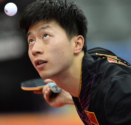 整体运作 整体运作