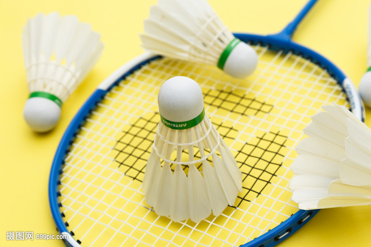 开拓者GM 开拓者GM