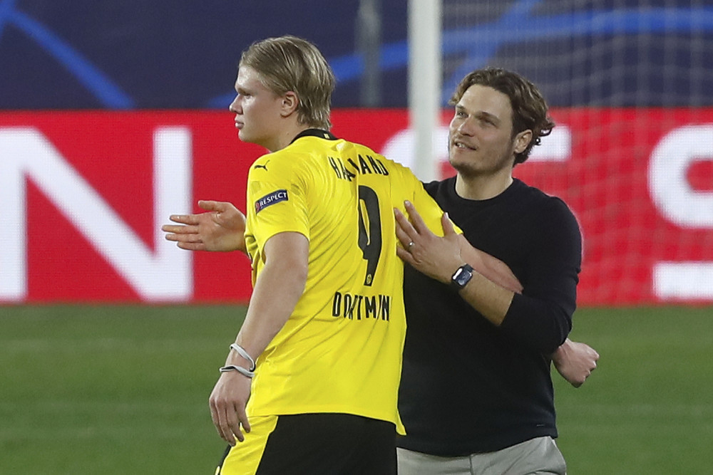 情感与利益 情感与利益